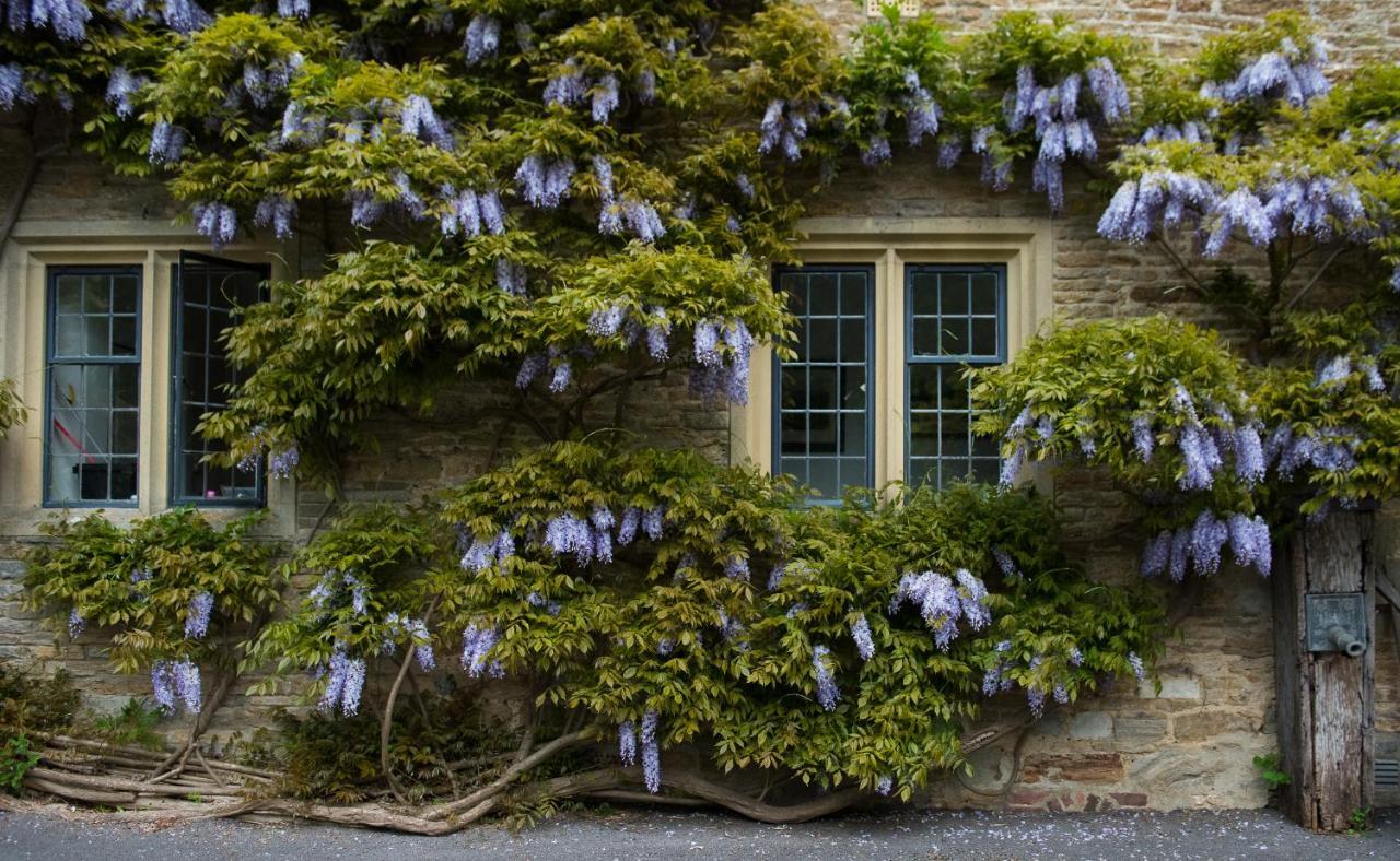 Plumber Manor Hotel Sturminster Newton Exterior photo